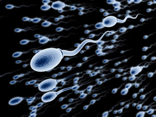 анализ спермы